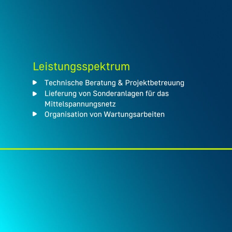 Vorstellung des Partners Eliva mit Text über Leistungsspektrum