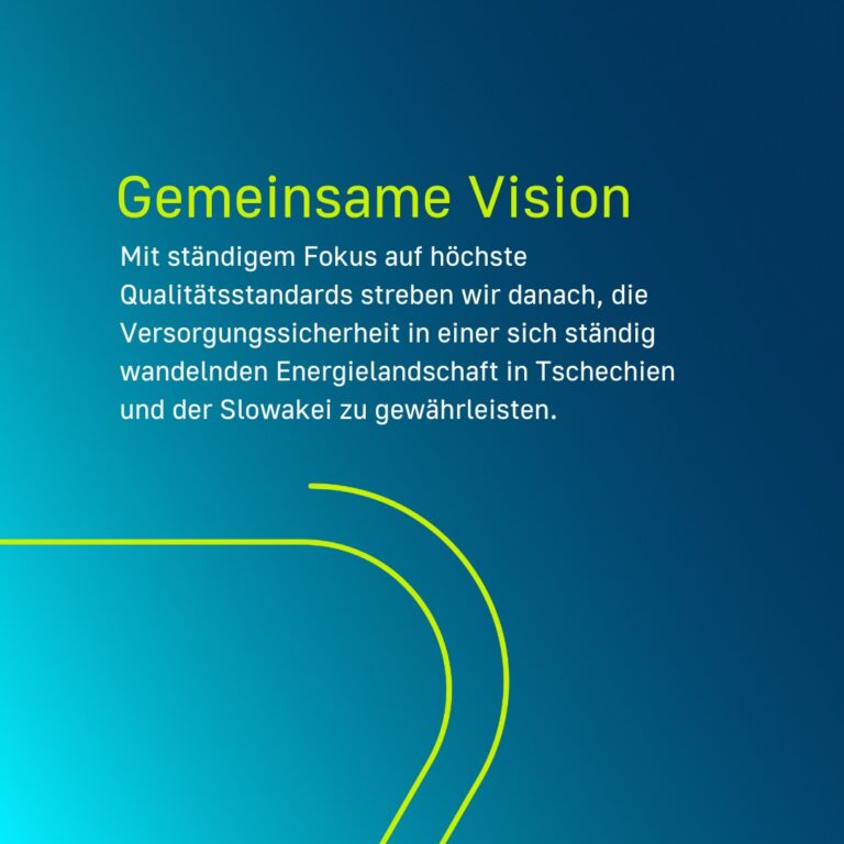 Vorstellung des Partners Eliva mit Text über die gemeinsame Vision