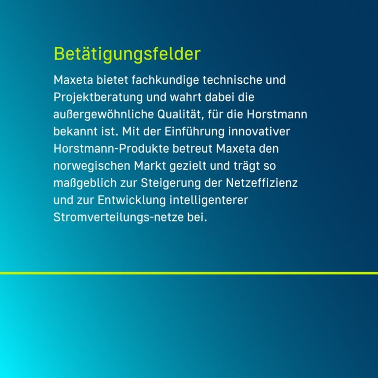 Vorstellung des Partners Maxeta mit Text über Betätigungsfelder
